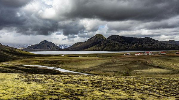 Quelles sont les conséquences de la consommation excessive de sucre sur votre santé et comment réduire votre apport ?